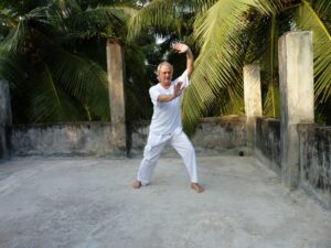 Tai Chi-Bild Die Weberin