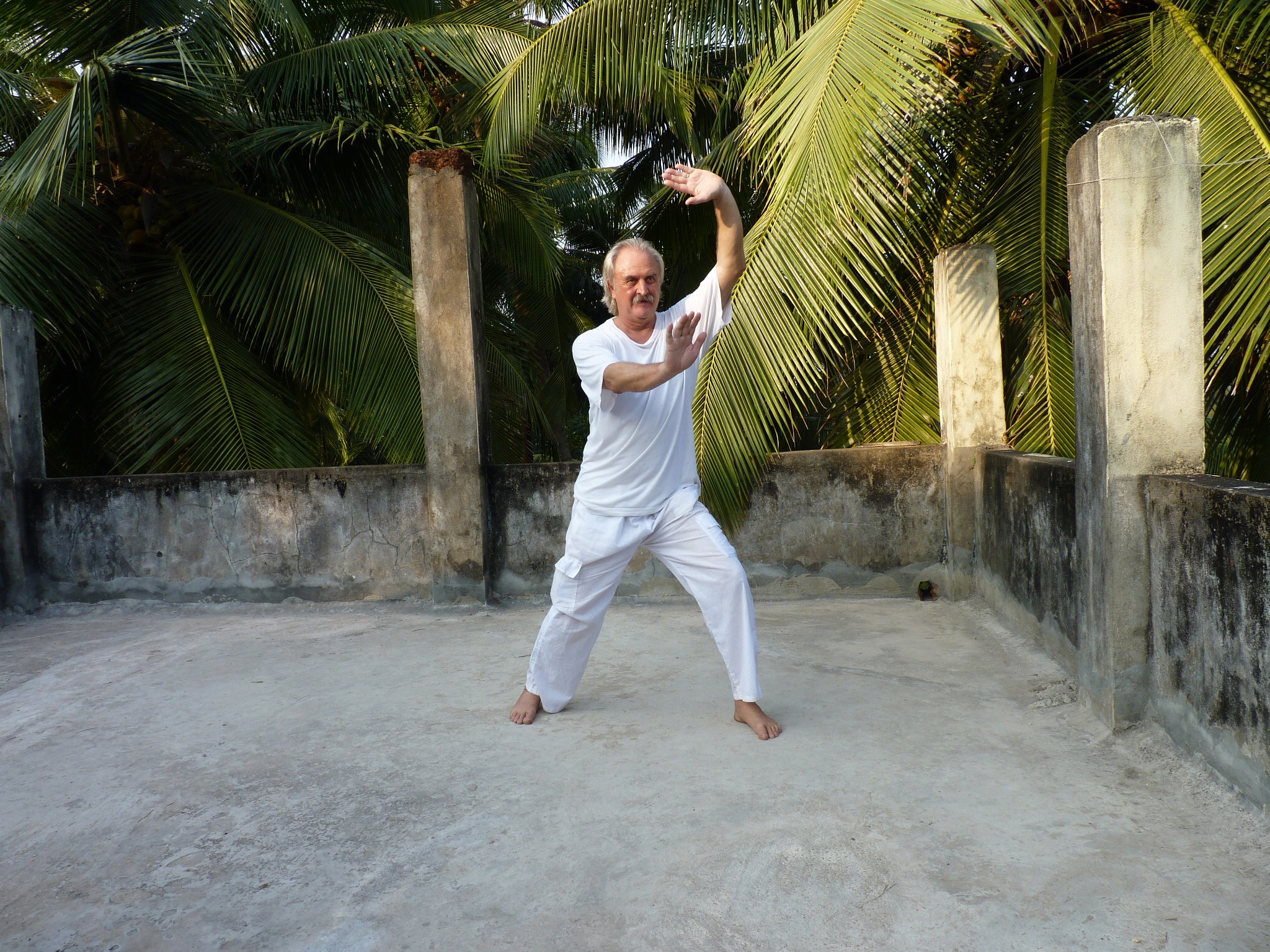 Tai Chi - Die Weberin